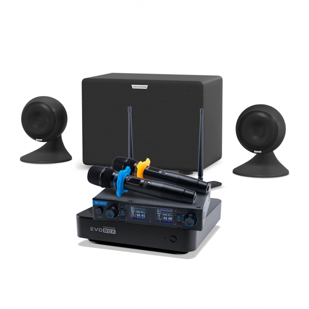 караоке-комплект EVOBOX + EvoSound Sphere 2.1 в Александрове