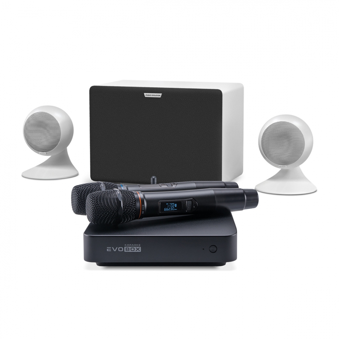 караоке-комплект EVOBOX Classic + EvoSound Sphere 2.1 в Александрове