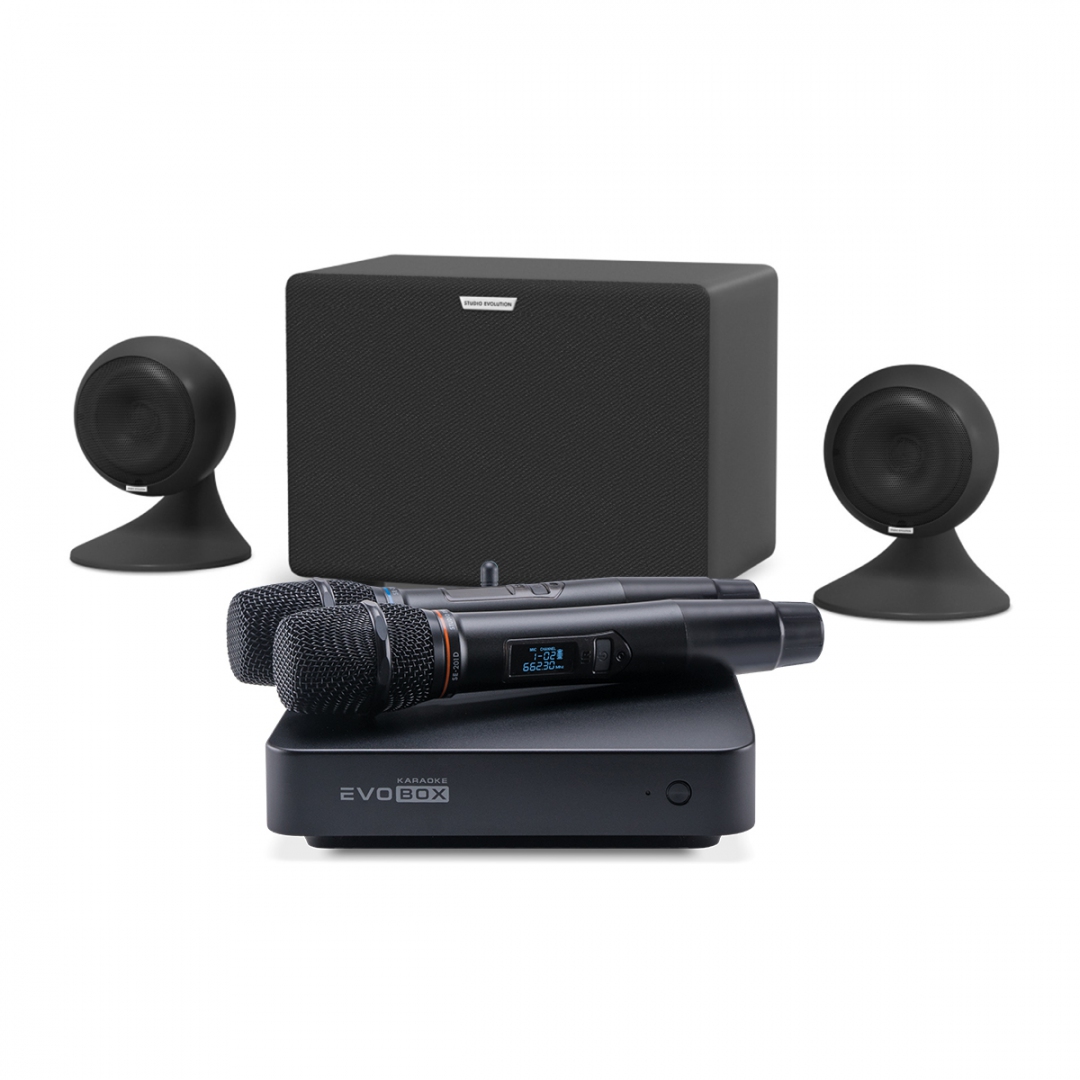 караоке-комплект EVOBOX Plus + EvoSound Sphere 2.1 в Александрове