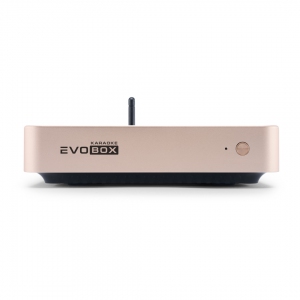 EVOBOX Plus караоке-система для дома в Александрове