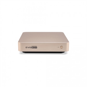 EVOBOX с микрофонами в Александрове